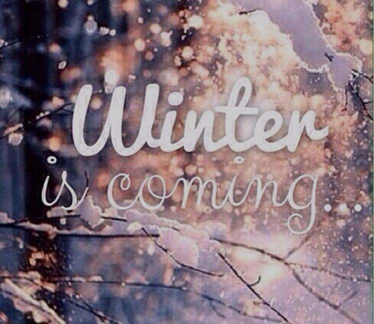 Slider1 Winter